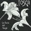Tosca Tango Orchestra