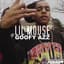 Lil Mouse