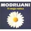 Modrijani