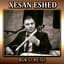Xesan Eshed