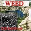 Weed