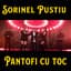 Sorinel Pustiu