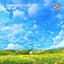 Nitosphere