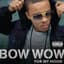 Bow Wow