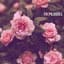 The Epilogues