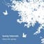 Sunny Intervals