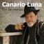 Canario Luna
