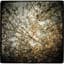 Horse Feathers