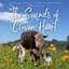 Cloven Heart Farm Sanctuary