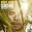 Fat Joe