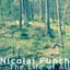 Nicolai Funch