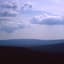 Quiet Point