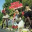 Dolly Rockers