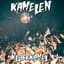 Kamelen