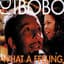 DJ Bobo