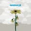 Relient K
