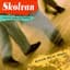 Skolvan