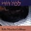 Rabbi Menachem Goldberger