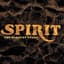 Spirit