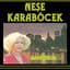 Neşe Karaböcek