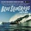 Blue Stingrays