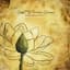 Indelible Grace Music