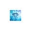 Froid