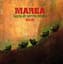 Marea