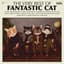 Fantastic Cat