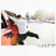 Rex Orange County