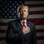 Trump The Don