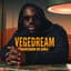 Vegedream