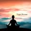 Namaste Flute