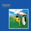 Penguin Cafe Orchestra