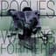 The Pogues