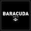 Baracuda