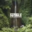 Jungle Brothers