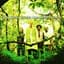 The Derek Trucks Band