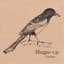Cuckoo