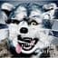 Zebrahead
