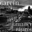Garcín