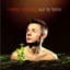 Martin Solveig