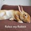 The Rabbit Relaxer