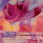 Seefeel