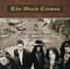 The Black Crowes