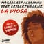 Megablast