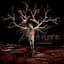 The Old Dead Tree