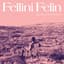 Fellini Félin