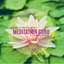 Divinity and Healing Records