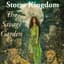 Storm Kingdom